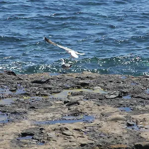 Pozo Gaviota Pozo Izquierdo